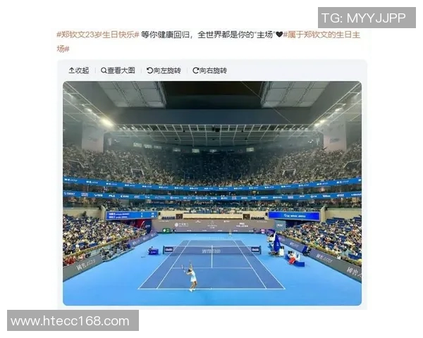 广州网球队技术争议引发热议球迷与专家各抒己见探讨未来发展方向